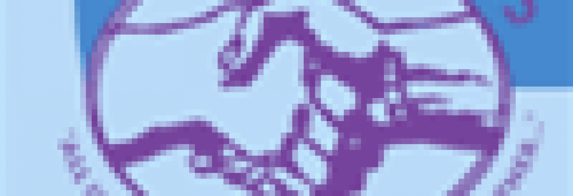 Bikur Cholim – The Rabbi Isaac N. Trainin Coordinating Council