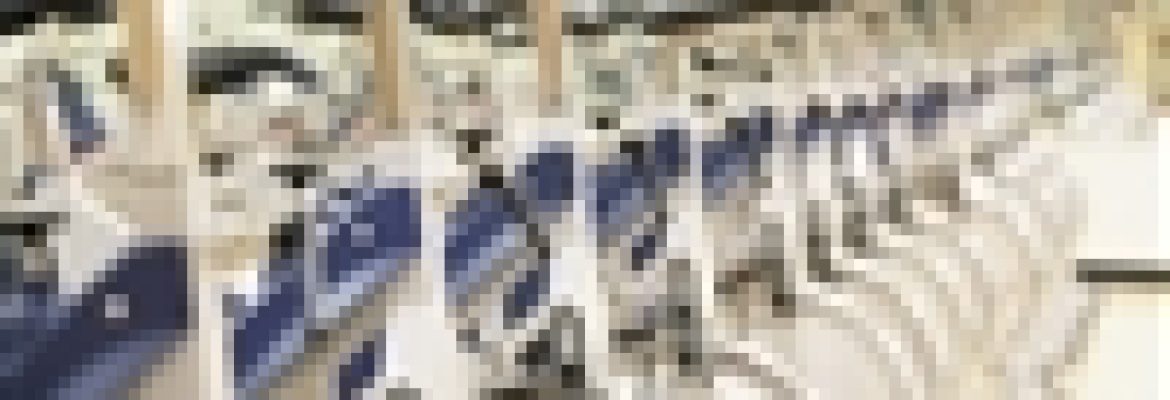 East Midwood Swim Program